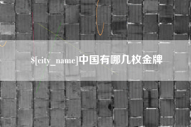 朔州中国有哪几枚金牌