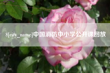 朔州中国消防中小学公开课回放