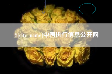 朔州中国执行信息公开网