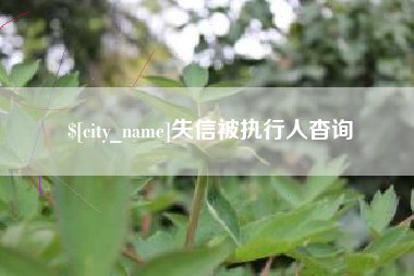 朔州失信被执行人杳询