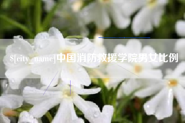 朔州中国消防救援学院男女比例