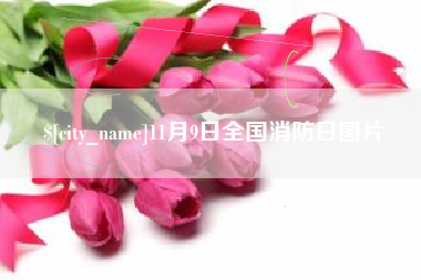 朔州11月9日全国消防日图片