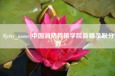 朔州中国消防救援学院新疆录取分数