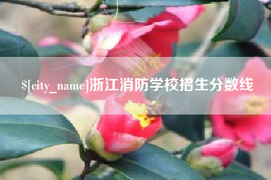 朔州浙江消防学校招生分数线