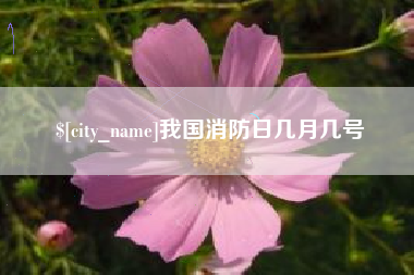 朔州我国消防日几月几号