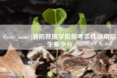 朔州消防救援学院报考条件湖南招生多少分