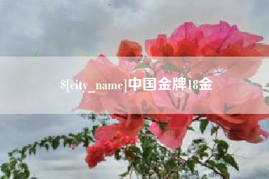 朔州中国金牌18金