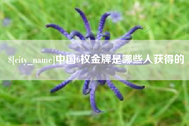 朔州中国6枚金牌是哪些人获得的