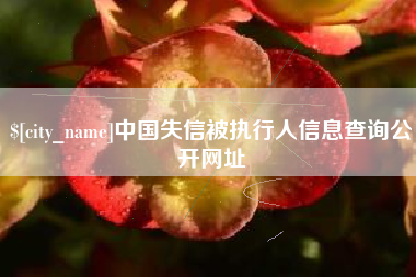 朔州中国失信被执行人信息查询公开网址
