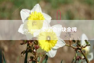 朔州奥运会39块金牌