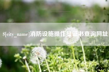 朔州消防设施操作员证书查询网址