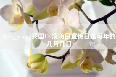 朔州我国119消防日宣传日是每年的几月几日