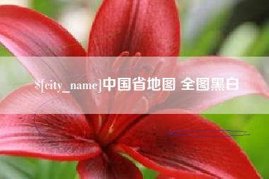 朔州中国省地图 全图黑白