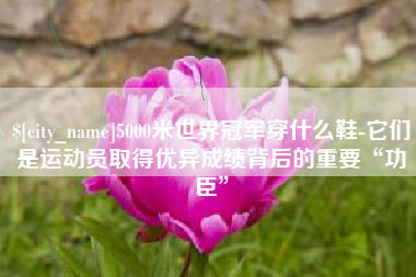 朔州5000米世界冠军穿什么鞋-它们是运动员取得优异成绩背后的重要“功臣”