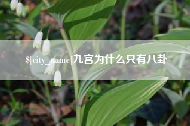 朔州九宫为什么只有八卦