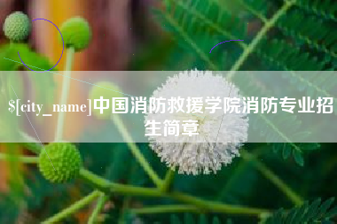 朔州中国消防救援学院消防专业招生简章