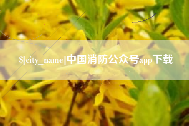朔州中国消防公众号app下载