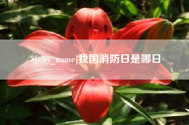 朔州我国消防日是哪日