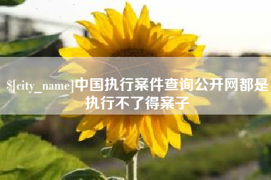 朔州中国执行案件查询公开网都是执行不了得案子
