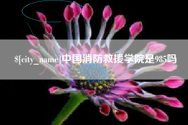 朔州中国消防救援学院是985吗