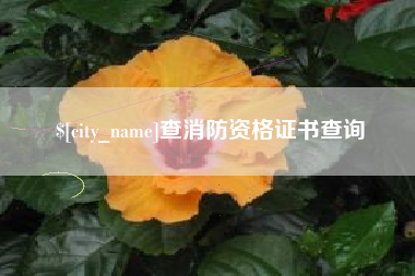 朔州查消防资格证书查询