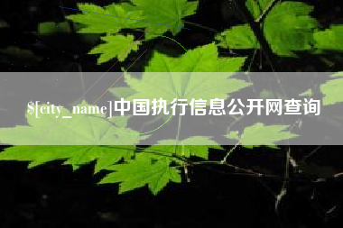 朔州中国执行信息公开网查询