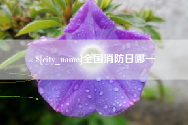 朔州全国消防日哪一