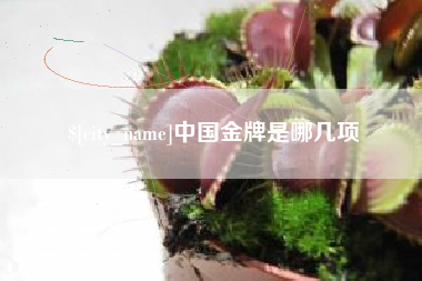 朔州中国金牌是哪几项