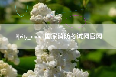 朔州国家消防考试网官网