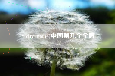 朔州中国第九个金牌