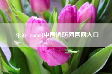 朔州中国消防网官网入口