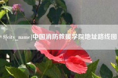 朔州中国消防救援学院地址路线图