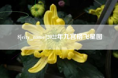 朔州2022年九宫格飞星图