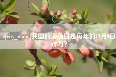 朔州我国的消防日是每年的11月9日对吗？