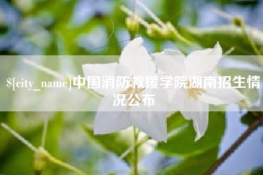 朔州中国消防救援学院湖南招生情况公布