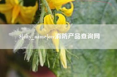 朔州ccc消防产品查询网