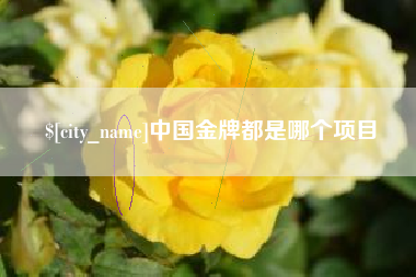 朔州中国金牌都是哪个项目