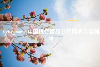 朔州中国执行信息公开网多久能消除