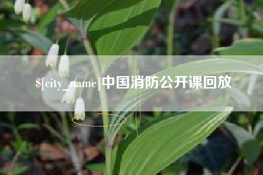 朔州中国消防公开课回放
