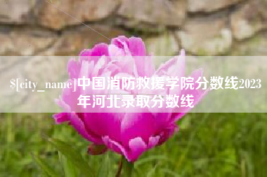 朔州中国消防救援学院分数线2023年河北录取分数线