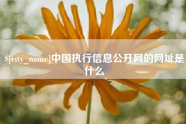 朔州中国执行信息公开网的网址是什么