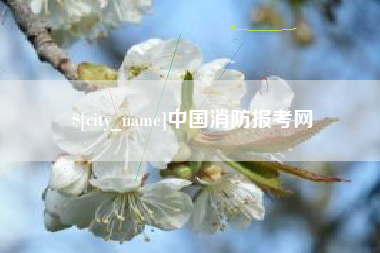 朔州中国消防报考网