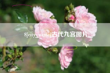 朔州古代九宫图片