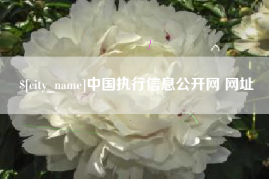 朔州中国执行信息公开网 网址