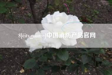 朔州中国消防产品官网