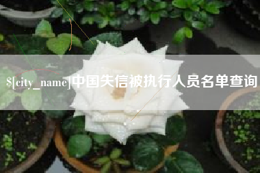 朔州中国失信被执行人员名单查询
