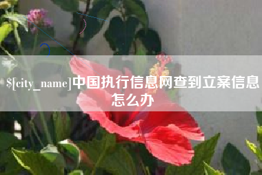 朔州中国执行信息网查到立案信息怎么办