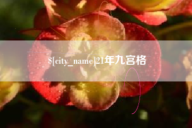 朔州21年九宫格