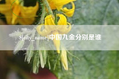 朔州中国九金分别是谁