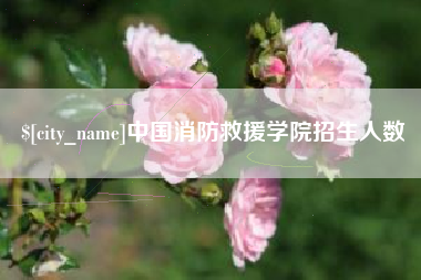 朔州中国消防救援学院招生人数